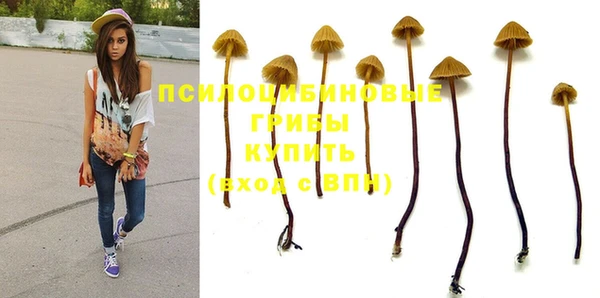 мдпв Зерноград
