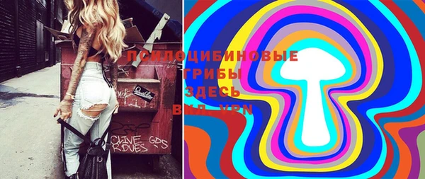 амф Зеленодольск