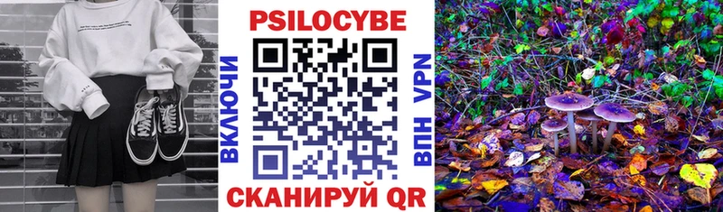 Купить закладки  Черняховск  Псилоцибиновые грибы Cubensis 